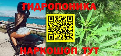стафф Анжеро-Судженск