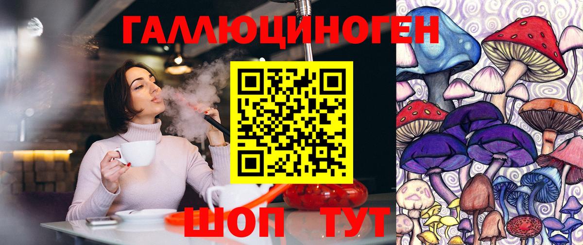 Галлюциногенные грибы мухоморы Чернушка