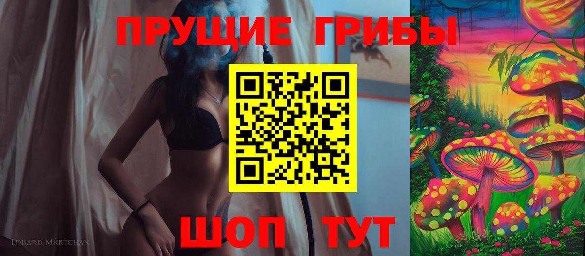 Псилоцибиновые грибы Cubensis  Вход с VPN  Чернушка 